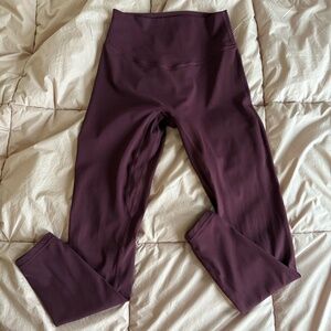 Vitality Cloud II Pant - Wine